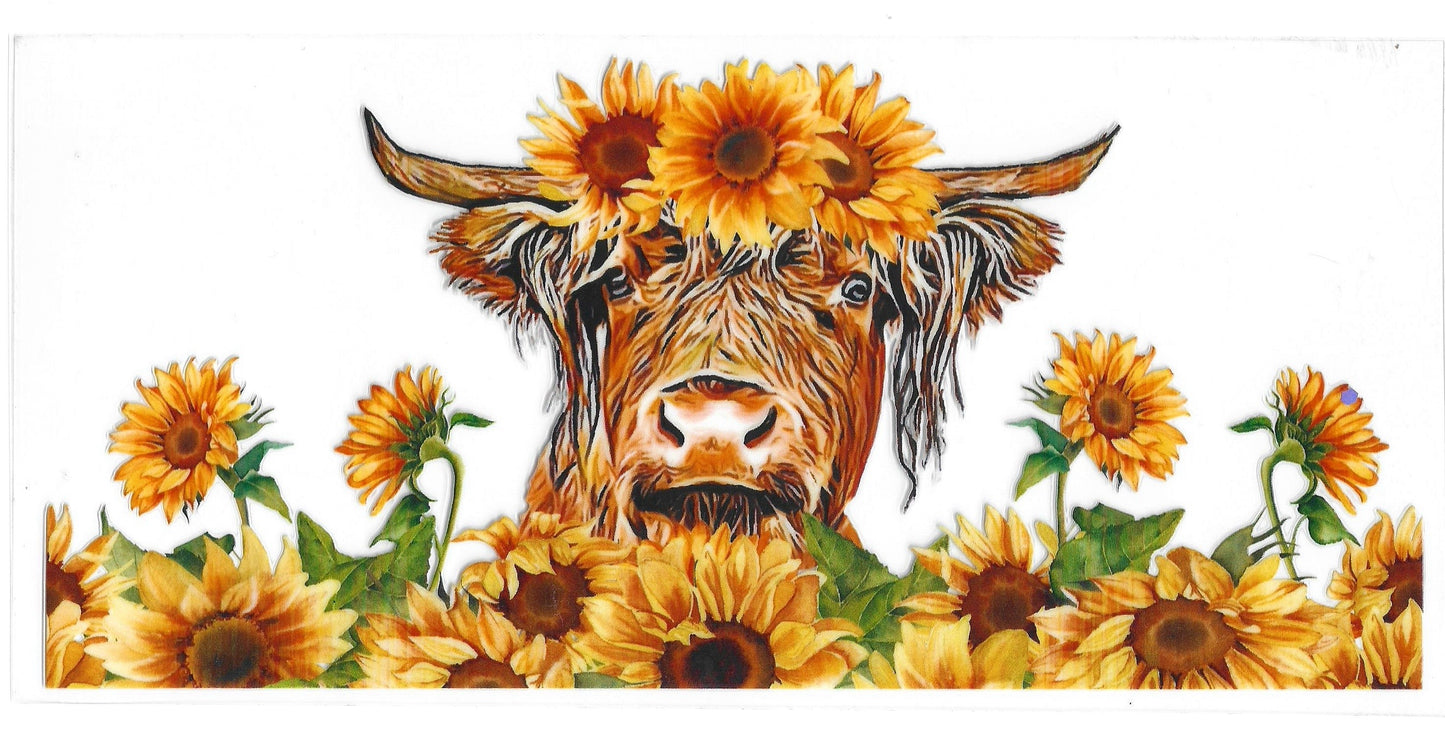 134 - Highland Cow