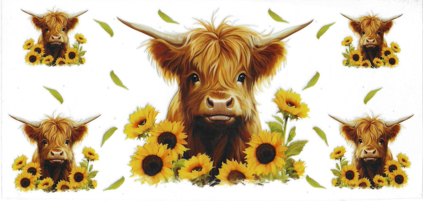 Highland Cow with Sunflowers 4290 UVDTF 16oz Cup Wrap