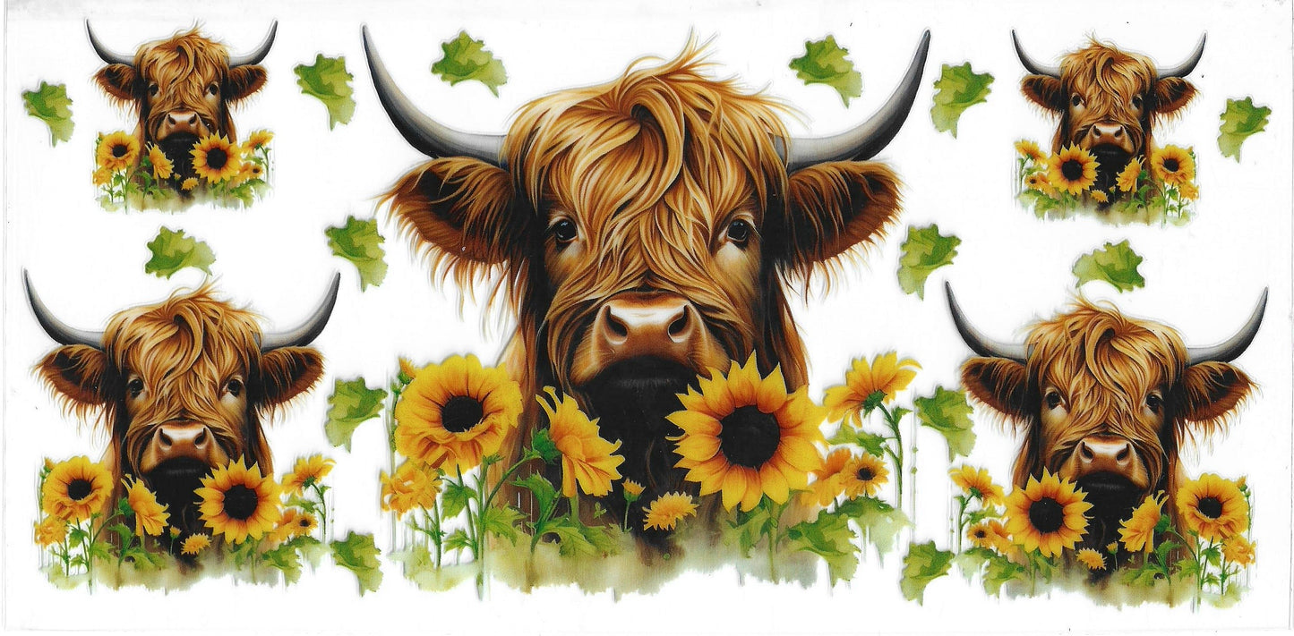 136 - Highland Cow