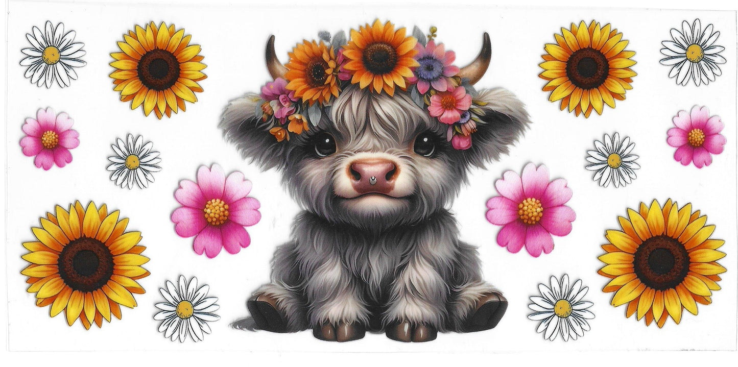 186 - Highland cow
