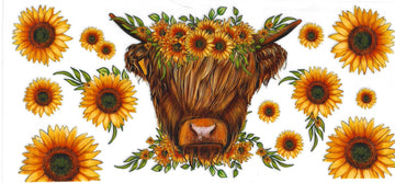 761 - Highland cow with sunflowers UV-DTF 16oz Cup Wrap
